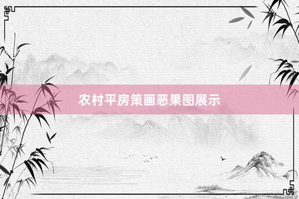 农村平房策画恶果图展示