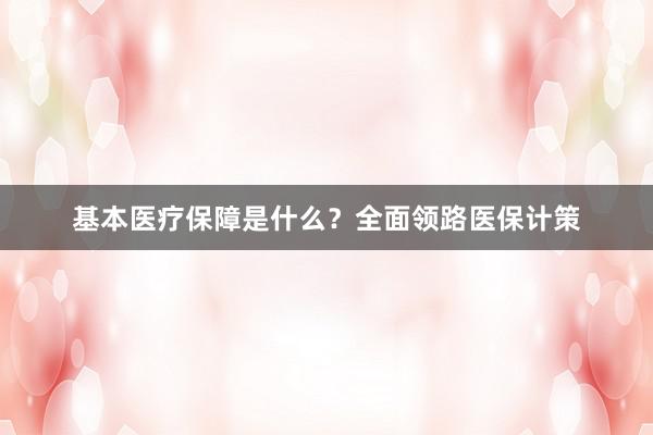 基本医疗保障是什么？全面领路医保计策