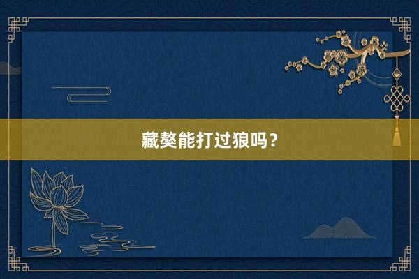 藏獒能打过狼吗？